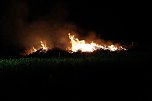 Feuer (Foto: S.Dietzel)