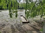 Schlossteich wird befüllt (Foto: Karl-Heinz Herrmann)