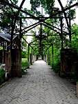 Beelitz Heilstätten (Foto: Peter Blei)