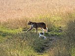 Naturwanderung bei Neustadt  (Foto: P.Blei)