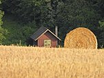 Naturwanderung bei Neustadt  (Foto: P.Blei)