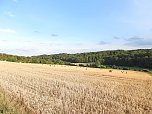 Naturwanderung bei Neustadt  (Foto: P.Blei)