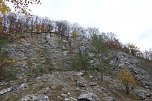 Landschaftspflegesaison im Südharz hat begonnen (Foto: Landschaftspflegeverband Südharz/Kyffhäuser)