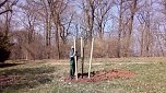 Pflanzaktion im Park Hohenrode durch die Gartenbaufirma August aus Ellrich.                                                                     (Foto: knk)