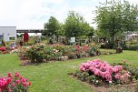 Europa Rosarium in Sangerhausen (Foto: Eva Maria Wiegand)