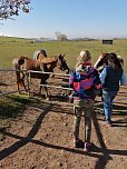 Ferienspiele in en Herbstferien (Foto: KSB)