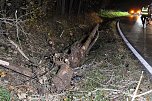 Verkehrsunfall im Kyffhäusrkreis (Foto: S.Dietzel)