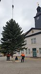 Weihnachtstanne wird von dem Frankenhäuser Rathaus aufgestellt (Foto: Stadtmarketing Bad Frankenhausen)