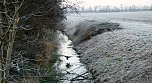 Der Winter hält Einzug in der Goldenen Aue (Foto: U.Reinboth)