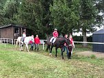 Der RFV sanierte seinen Reitplatz mit viel Einfallsreichtum (Foto: I.Krone)