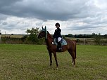 Auf's Treppchen gesprungen: Lilly Charlott Freitag auf Nathalie (Foto: S. Siersleben)