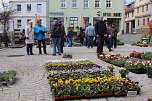 Gut besuchter Sondershäuser Ostermarkt (Foto: Eva Maria Wiegand)