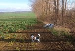 Müllfund auf dem Weg nach Bielen (Foto: A.Knoblauch)