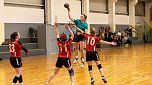 nnz-Ergbnisdienst: Handball - die Spiele vom Wochenende (Foto: NSV)