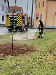 B&auml;ume pflanzen in Gro&szlig;wechsungen (Foto: R.+K.Schulze)