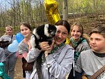 Affengeburtstag und Putzaktion im Affenpark Straußberg (Foto: S. Dietzel)