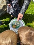 Schmetterlingsprojekt im Kindergarten (Foto: K.Krusche)