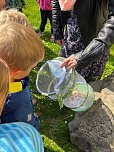 Schmetterlingsprojekt im Kindergarten (Foto: K.Krusche)