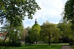 Sie brüten noch! (Foto: Peter Blei)