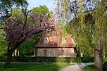 Sie brüten noch! (Foto: Peter Blei)