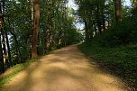 Sie brüten noch! (Foto: Peter Blei)