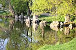 Sie brüten noch! (Foto: Peter Blei)