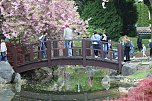 Kodomo No Hi, das Kinderfest, heute Nachmittag im Japanischen Garten (Foto: Eva Maria Wiegand)