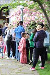 Kodomo No Hi, das Kinderfest, heute Nachmittag im Japanischen Garten (Foto: Eva Maria Wiegand)