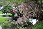 Kodomo No Hi, das Kinderfest, heute Nachmittag im Japanischen Garten (Foto: Eva Maria Wiegand)