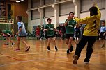 Impressionen vom Nordhäuser Handball am Wochenende (Foto: NSV)