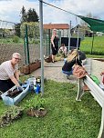 Arbeitseinsatz im Kindergarten Hohensteiner Burgspatzen (Foto: A.Levin)