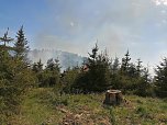 Waldbrand im Birkenmoor (Foto: Fotos: Freiwillige Niedersachswerfen , Freiwillige Feuerwehr Ilfeld/Wiegersdorf / Silvio Dietzel)