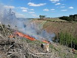 Waldbrand im Birkenmoor (Foto: Fotos: Freiwillige Niedersachswerfen , Freiwillige Feuerwehr Ilfeld/Wiegersdorf / Silvio Dietzel)