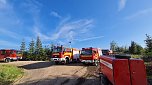 Waldbrand im Birkenmoor (Foto: Fotos: Freiwillige Niedersachswerfen , Freiwillige Feuerwehr Ilfeld/Wiegersdorf / Silvio Dietzel)