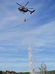 Waldbrand im Birkenmoor (Foto: Fotos: Freiwillige Niedersachswerfen , Freiwillige Feuerwehr Ilfeld/Wiegersdorf / Silvio Dietzel)