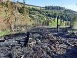 Waldbrand im Birkenmoor (Foto: Fotos: Freiwillige Niedersachswerfen , Freiwillige Feuerwehr Ilfeld/Wiegersdorf / Silvio Dietzel)