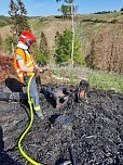 Waldbrand im Birkenmoor (Foto: Fotos: Freiwillige Niedersachswerfen , Freiwillige Feuerwehr Ilfeld/Wiegersdorf / Silvio Dietzel)