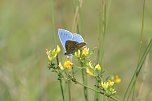 Tag der biologischen Vielfalt am 22. Mai (Foto: S.Staubitz)