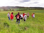 Wandertag in Steigerthal (Foto: C.Wilhelm)