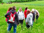 Wandertag in Steigerthal (Foto: C.Wilhelm)