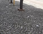 Müll an der Haltestelle Marktplatz (Foto: A .Adlerauge)