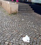 Müll an der Haltestelle Marktplatz (Foto: A .Adlerauge)