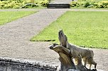 Schlosspark Ebeleben (Foto: Eva Maria Wiegand)