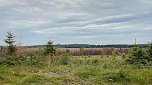 Eindrücke aus dem Oberharz zwischen Trautenstein und Sophienhon (Foto: privat)