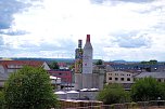 Entdeckungen auf dem Nordhäuser Petersberg (Foto: P.Blei)