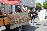 Festumzug zum Brunnenfest (Foto: oas)