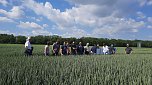 Feldtag des Kreisbauernverbandes und des Südharzer Landhandels (Foto: Susann Goldhammer)