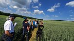 Feldtag des Kreisbauernverbandes und des Südharzer Landhandels (Foto: Susann Goldhammer)