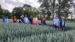 Feldtag des Kreisbauernverbandes und des Südharzer Landhandels (Foto: Susann Goldhammer)