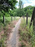 Unberührte Natur in Nordhausen? (Foto: Barbara Hopp)